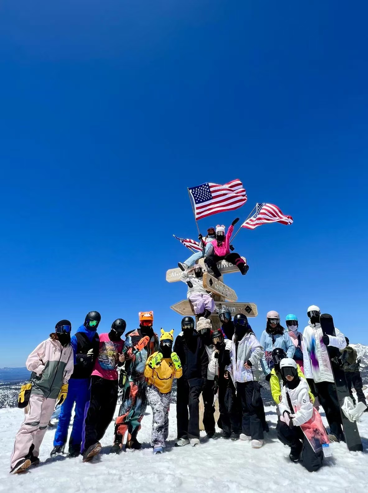 SnowForce Team